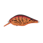 Evergreen ZR-4 - Image 10