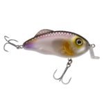 Strike King Hybrid Hunter Shallow Crankbait - Image 8