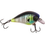 Monsterbass Little Banger - Image 2