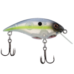 Berkley Money Badger - Shallow - Image 3