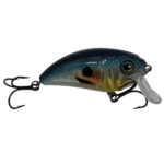 Monsterbass Super Freak - Image 7