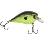 Monsterbass Little Banger - Image 3