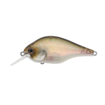 Evergreen ZR-4 - Image 4