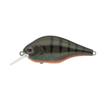 Evergreen ZR-4 - Image 6