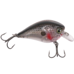 Monsterbass Little Banger - Image 7
