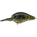 Evergreen PC-5 - Image 9